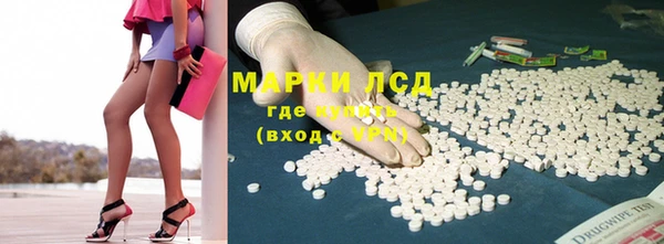 ГАЛЛЮЦИНОГЕННЫЕ ГРИБЫ Пересвет
