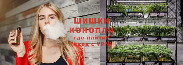 соль ск Пестово