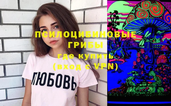 соль ск Пестово