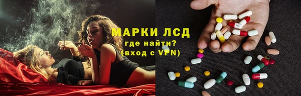 ГАЛЛЮЦИНОГЕННЫЕ ГРИБЫ Пересвет