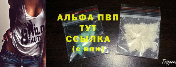ГАЛЛЮЦИНОГЕННЫЕ ГРИБЫ Пересвет